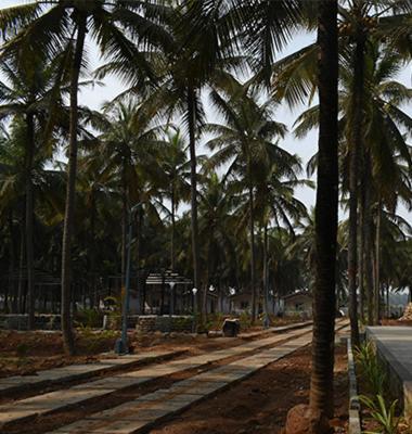 Thumbe Goodu Resort Yadiyur Exterior photo